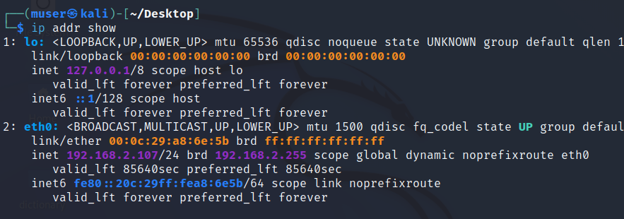 obtain IP address using ip command
