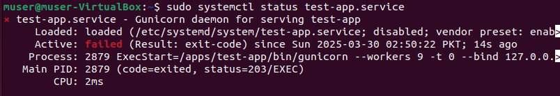 Executing command to check the status of the service.